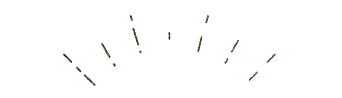image01